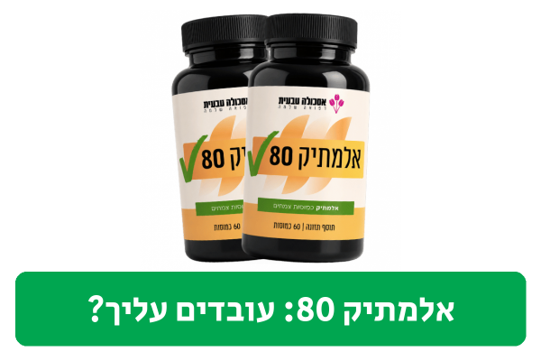 אלמתיק 80 ביקורת