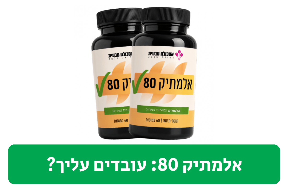 אלמתיק 80 ביקורת