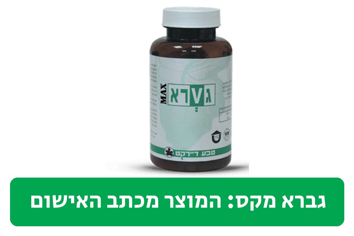 גברא מקס ביקורת