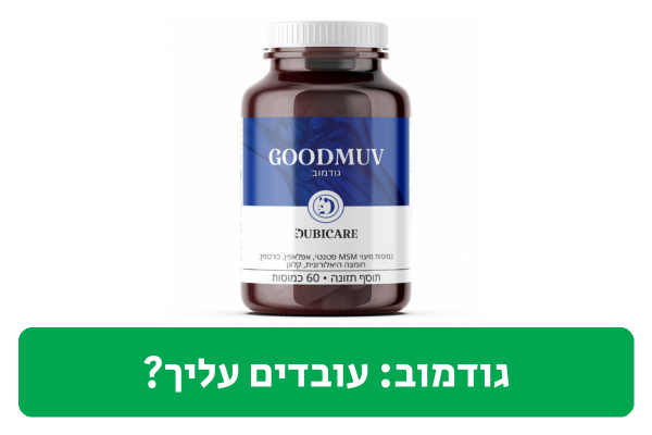 גודמוב ביקורת