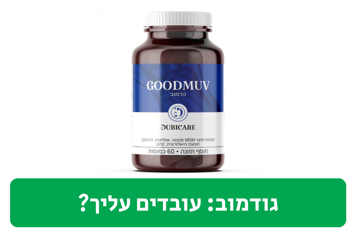גודמוב ביקורת
