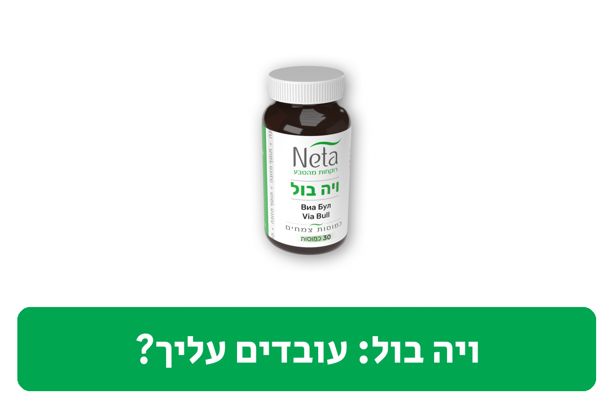 ויה בול ביקורת
