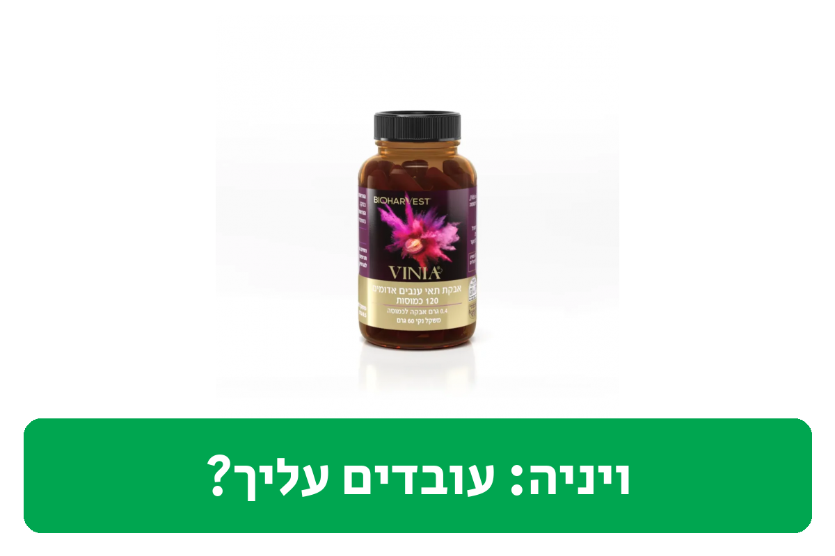 ויניה ביקורת