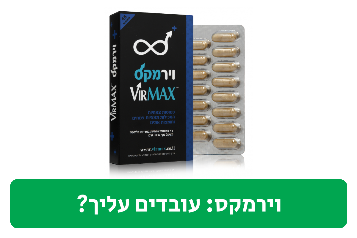 וירמקס ביקורת