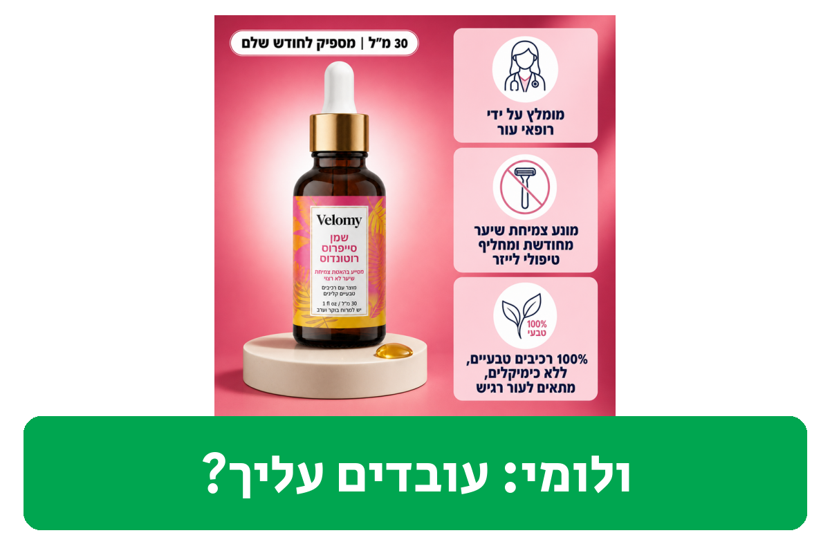 ולומי ביקורת