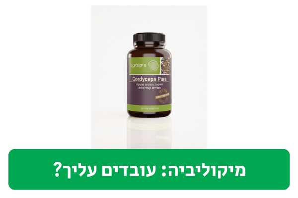 מיקוליביה ביקורת