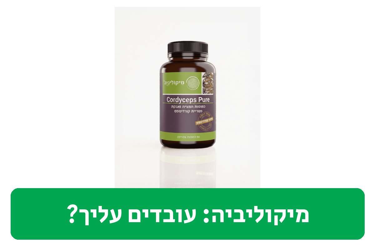 מיקוליביה ביקורת