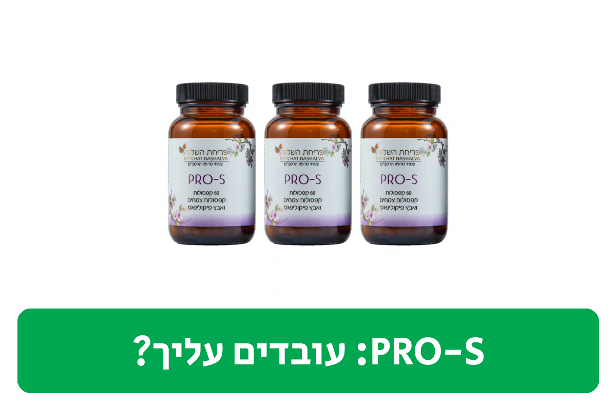 PRO-S ביקורת